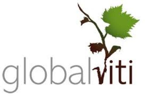 El proyecto Globalviti entra en su fase final