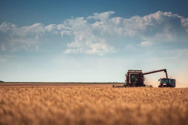 La Junta de Extremadura aprueba la nueva convocatoria de seguros agrarios para 2020