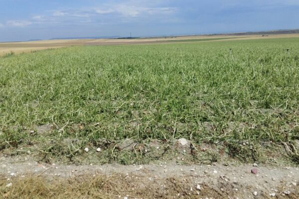 Constituido un grupo de trabajo para mejorar la contratación y cobertura de los seguros agrarios en Castilla y León