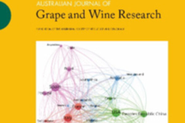 España lidera la investigación científica sobre vino en el mundo