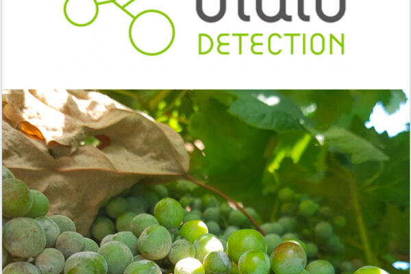 Resultados del programa Oidio Detection en 2019