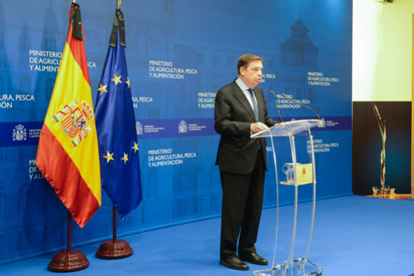 Luis Planas anuncia un paquete de medidas para asegurar la viabilidad y el futuro del sector del aceite de oliva