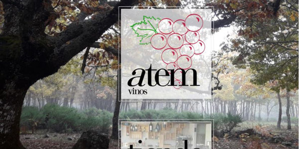 Atem vinos lanza su tienda online