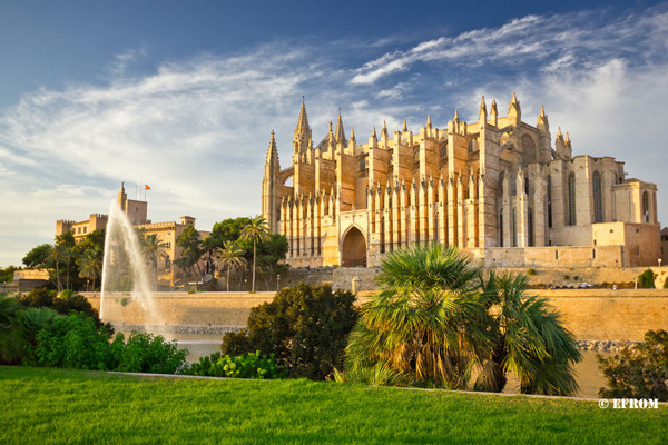 Baleares se une a ACEVIN a través de la Fundació Mallorca Turisme