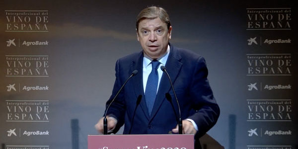 Luis Planas destaca la relevancia de presente y futuro del sector vitivinícola en la economía