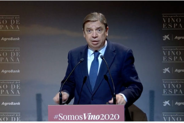 Luis Planas destaca la relevancia de presente y futuro del sector vitivinícola en la economía