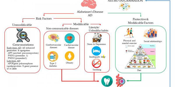 Publicada una revisión sobre el estudio de la relación entre el consumo de vino, la dieta y la modulación del microbioma oral e intestinal en la enfermedad de Alzheimer