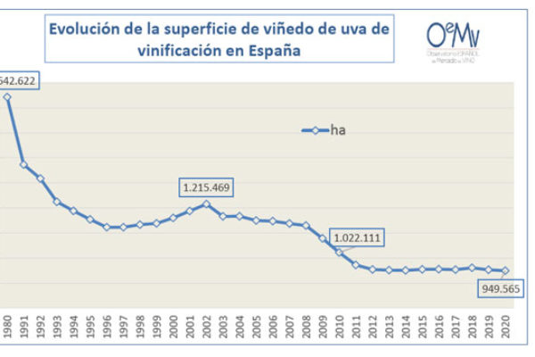 La superficie de viñedos en España se reduce un 0,3% en 2020