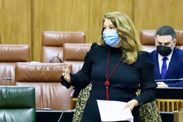 Andalucía pide al Gobierno de España que escuche el sentir del sector agrícola y rectifique el Real Decreto de transición de la PAC