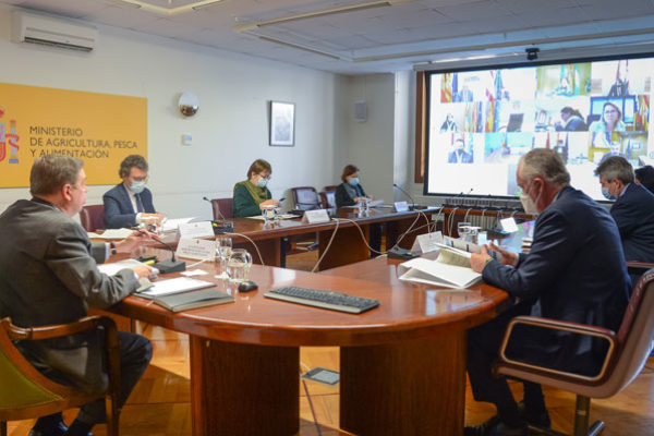 Luis Planas destaca que 13 países se han sumado a la declaración de España de solicitar fondos adicionales para el sector del vino