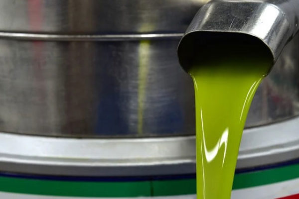 Asaja constata la bajada en la producción de aceite de olivo y el buen ritmo de las salidas que deberían motivar un repunte en los precios
