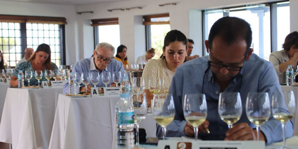 La Gomera acoge en abril el Concurso Oficial de Vinos Agrocanarias 2021