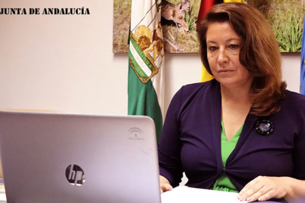 Andalucía propone aplicar una convergencia paulatina en la PAC que alcance el 85% en 2026