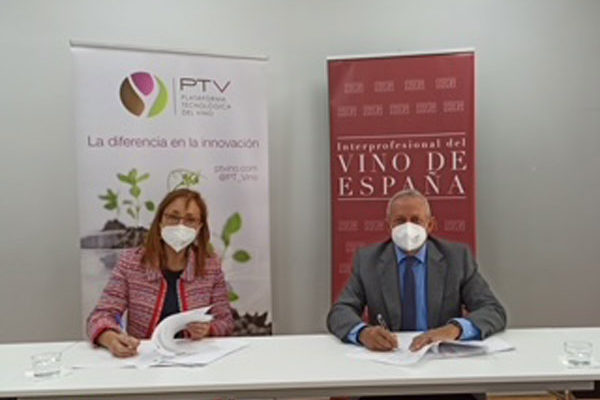 Acuerdo entre OIVE y PTV para impulsar la competitividad del sector vitivinícola a través de la innovación y la sostenibilidad