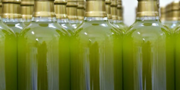 Las salidas de aceite de oliva al mercado se sitúan en cifras históricas con buen ritmo de comercialización