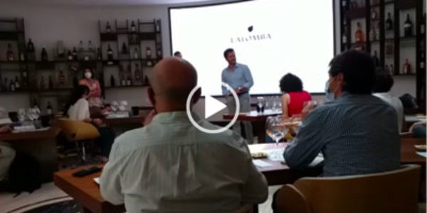 Cata vertical de Bodega Lalomba / Bodegas Ramón Bilbao en Madrid