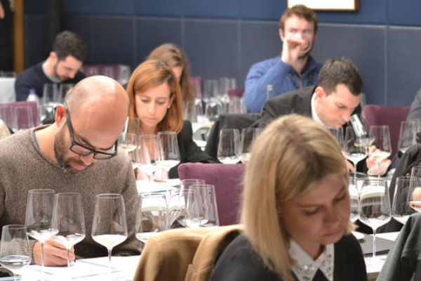Nace Cava Academy, la primera escuela online de formación certificada en Cava
