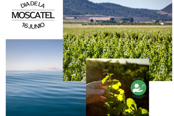 El 16 de junio se celebra el día de la Moscatel