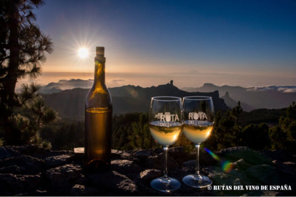Gran Canaria se incorpora a las Rutas del Vino de España