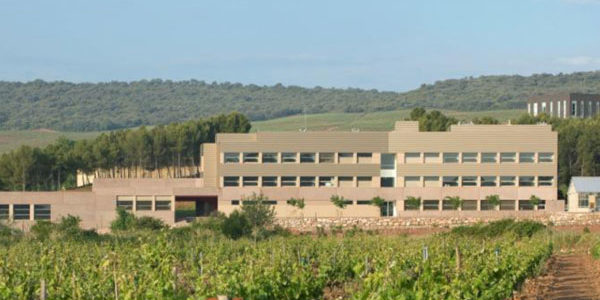 La actividad del ICVV durante 2020, en números