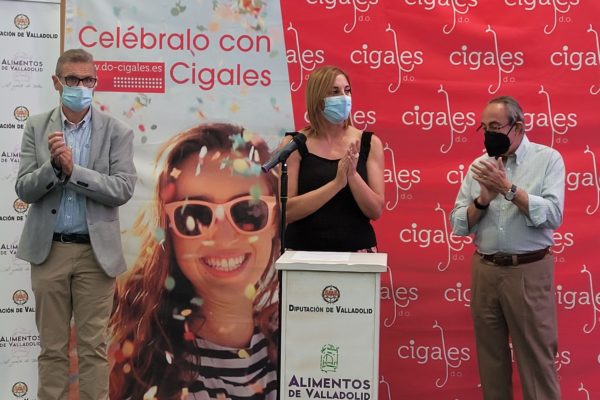 LA D.O. Cigales califica la añada 2020 de ‘excelente’