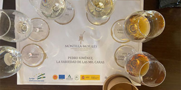 Cata online de vinos de la Denominación de Origen Protegida Montilla-Moriles