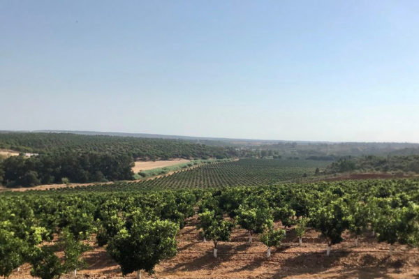 Extremadura da luz verde a la declaración de impacto ambiental del proyecto de regadío en Tierra de Barros