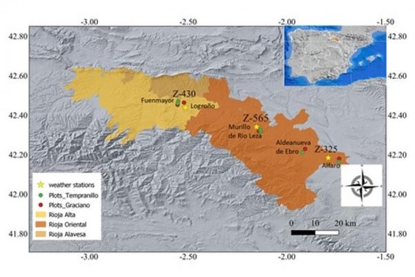 La variedad Graciano presenta más resiliencia que la Tempranillo frente al calentamiento climático en la D.O.Ca. Rioja