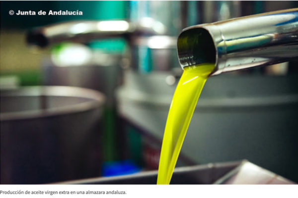 Las exportaciones de aceite de oliva repuntan