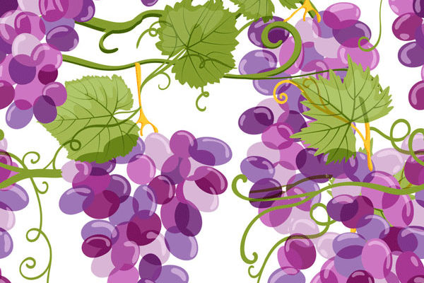 ASAJA CLM exige que los precios de la uva contemplen los costes de producción para que los viticultores dejen de perder dinero