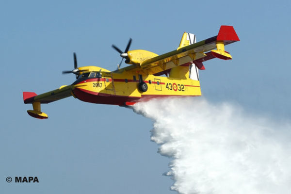 ‘Los incendios están devastando los viñedos’, manifiesta la OIV
