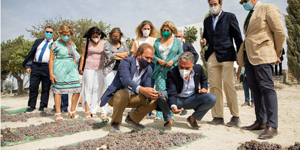 La Junta de Andalucía apoya al sector del vino de Jerez, cuyas exportaciones crecen en el primer semestre un 25% respecto a 2019