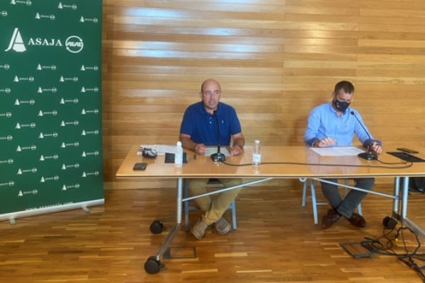 ARAG-ASAJA advierte a las bodegas de que los precios de la uva deben mejorar en en un contexto de recuperación de ventas.