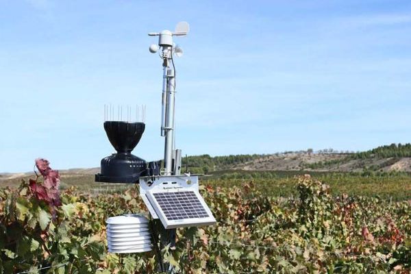 Pagos de Araiz coordina un proyecto europeo para mitigar enfermedades biológicas en el viñedo