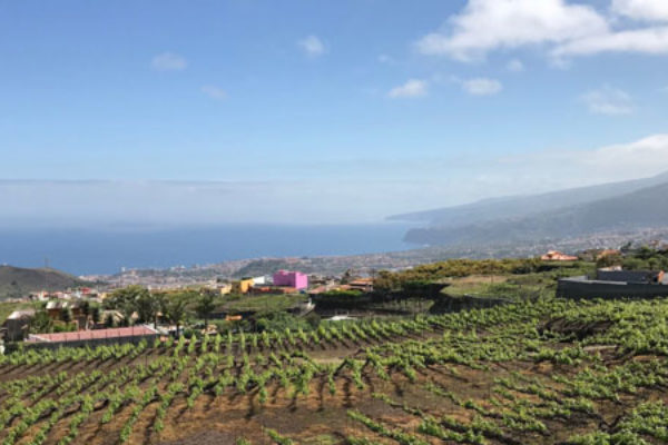 Canarias convoca las ayudas destinadas a apoyar las inversiones en materia de regadíos de iniciativa privada