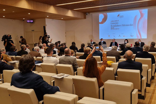 CECRV analiza las bases del futuro del sector