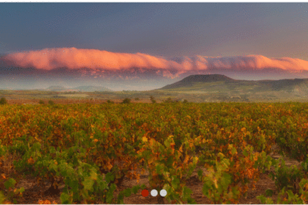 “Este nuevo ataque del PNV a la unidad y la singularidad de la DOCa Rioja es intolerable”, manifiesta FECOAR
