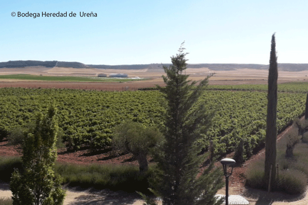La Comisión aprueba una nueva denominación de origen protegida de España