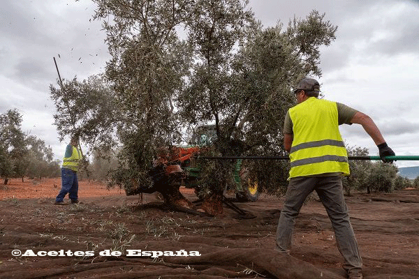 La renta agraria se mantiene estable en 2021 y alcanza los 28.361 millones de euros