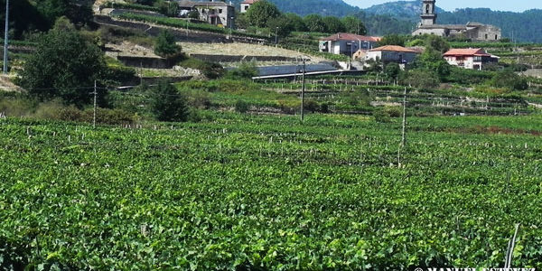 El proyecto COPPEREPLACE ha dado a conocer algunos de sus avances técnicos