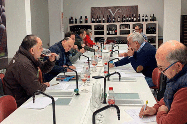 La cosecha 2021 de la D.O. Yecla obtiene la calificación de ‘Excelente’