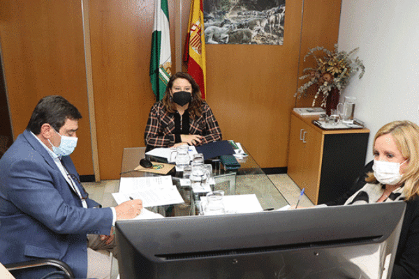Andalucía urge al Gobierno a bajar los impuestos al sector agrario para afrontar los costes desorbitados