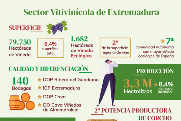 El sector vitivinícola aporta un 2,2% al PIB de Extremadura