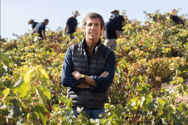 Javier Moro ha sido nombrado nuevo presidente de Bodegas Emilio Moro