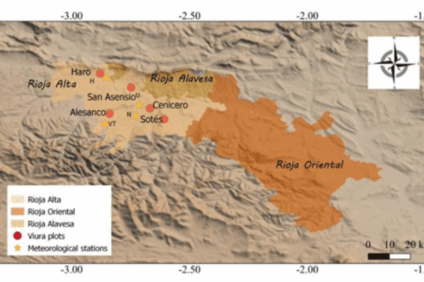 Comportamiento de la variedad Viura (Macabeo), cultivada a diferentes altitudes, en la D.O.Ca. Rioja, y su previsible respuesta frente al cambio climático