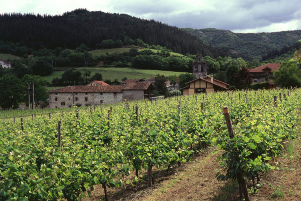 El MAPA reconoce 12 nuevos viñedos singulares en la D.O.Ca. Rioja