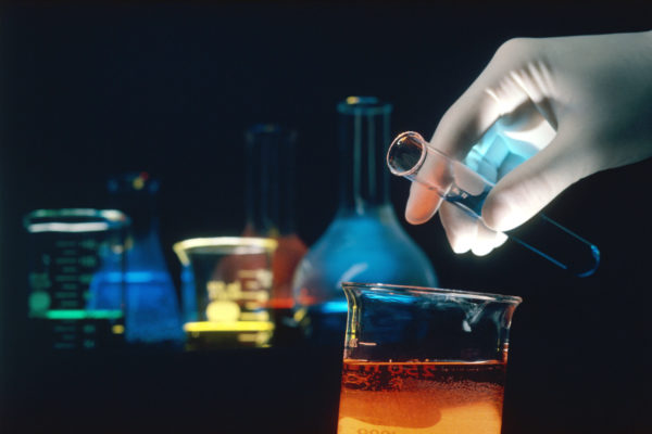 Finaliza el plazo para solicitar las becas de investigación Vino, nutrición y salud