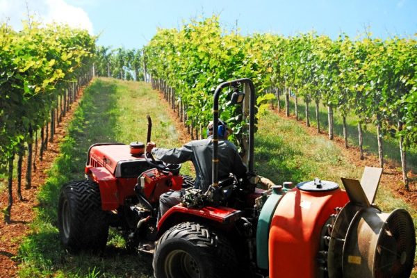 Los agricultores y ganaderos que suscriban el seguro agrario se beneficiarán del incremento de la subvención estatal de la prima