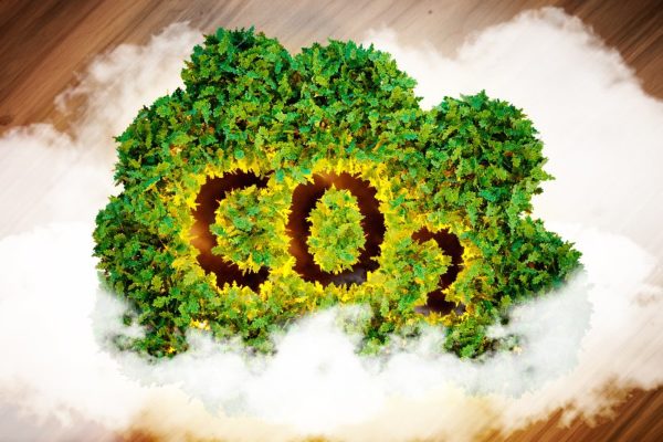 Valencia desarrollará un observatorio de emisiones de gases de efecto invernadero