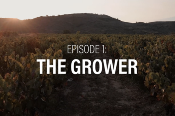 Rioja estrena la primera docuserie en tiempo real sobre la vendimia